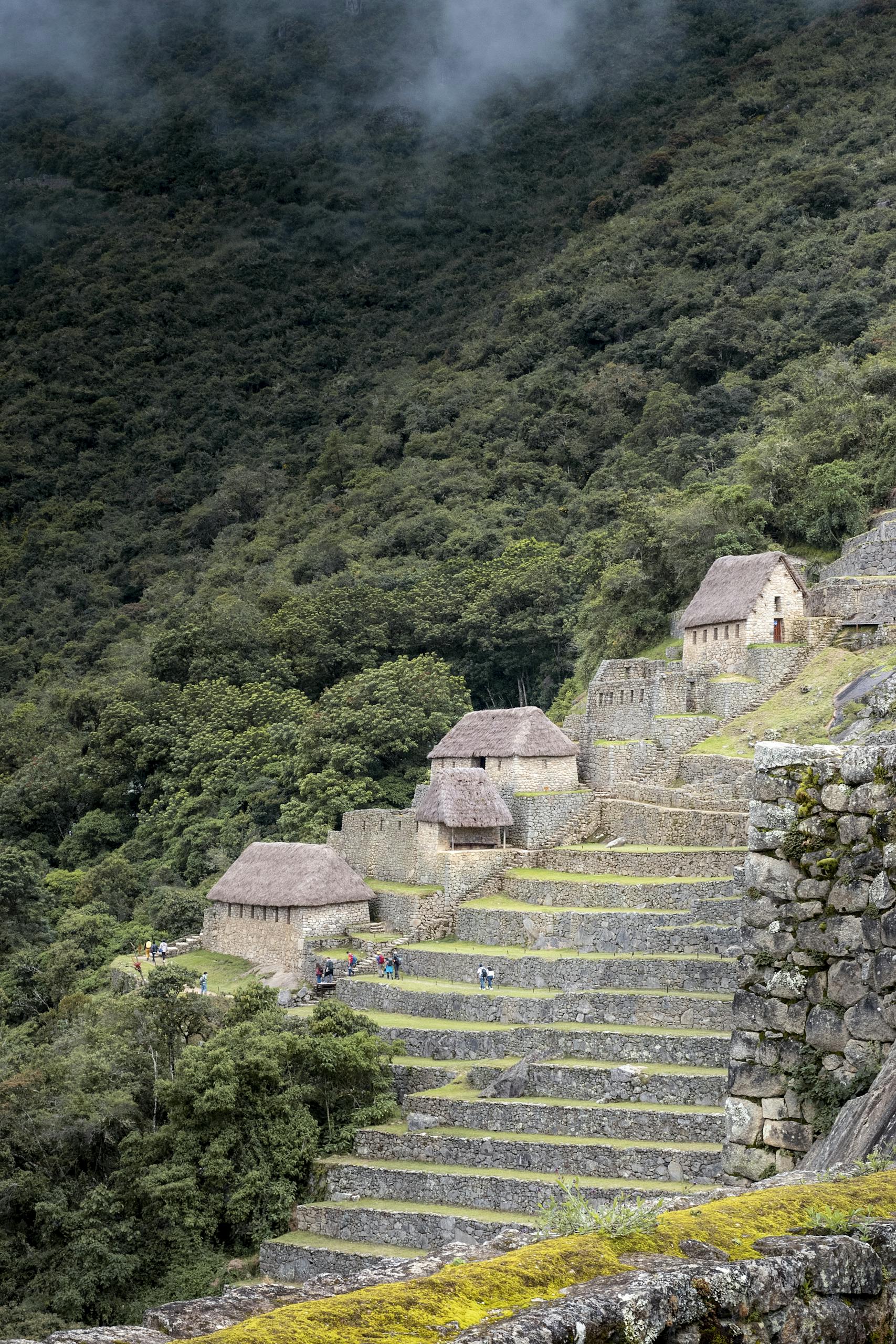 Explore the iconic stone terraces of Machu Picchu, set against lush Peruvian mountains.